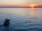 FOTO - Vernazza Water Taxi